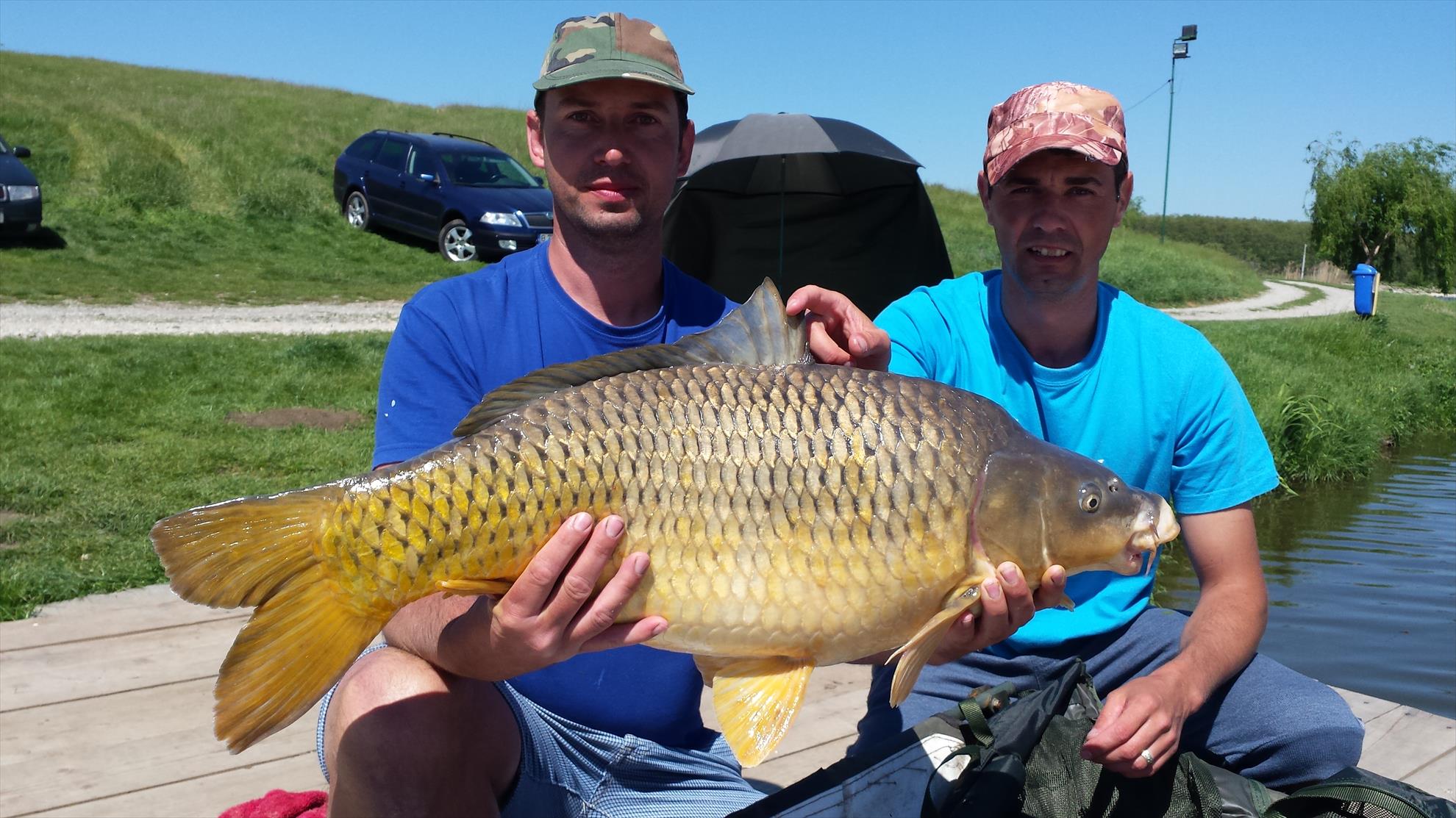 Moara Vlasiei 2 21 - 22 aprilie 2016 - 20160422135608.jpg